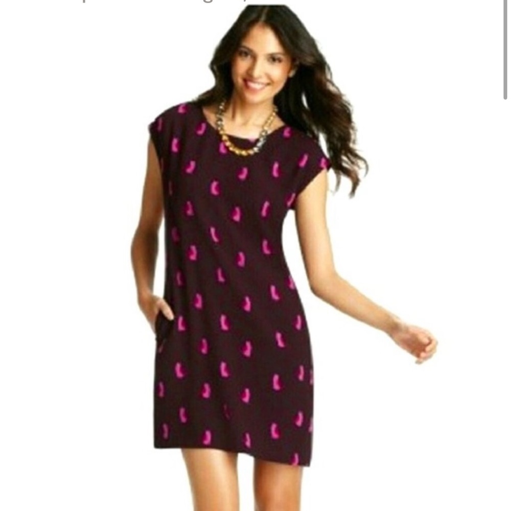 Loft shift dress with whimsical cat print size small